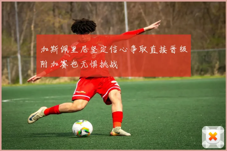 加斯佩里尼坚定信心争取直接晋级附加赛也无惧挑战
