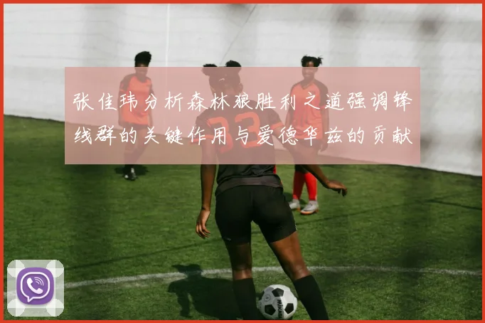 张佳玮分析森林狼胜利之道强调锋线群的关键作用与爱德华兹的贡献