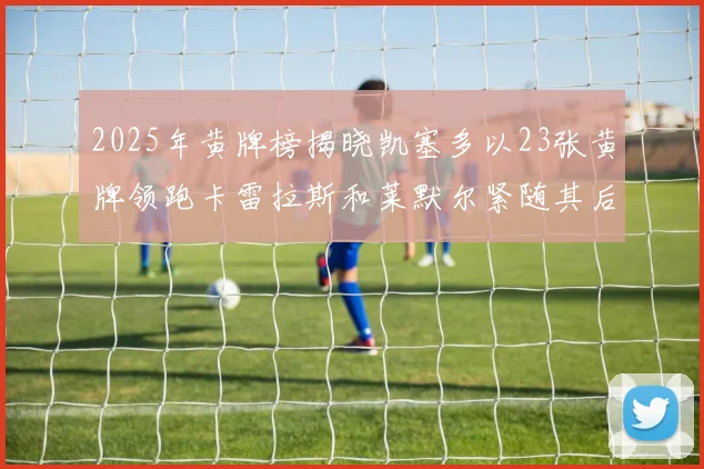 2025年黄牌榜揭晓凯塞多以23张黄牌领跑卡雷拉斯和莱默尔紧随其后