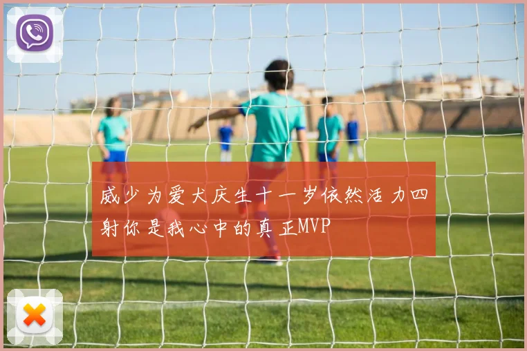 威少为爱犬庆生十一岁依然活力四射你是我心中的真正MVP