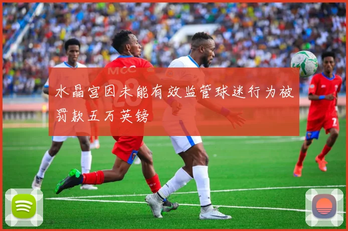 水晶宫因未能有效监管球迷行为被罚款五万英镑